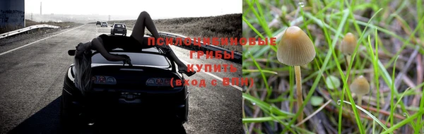 винт Верхний Тагил