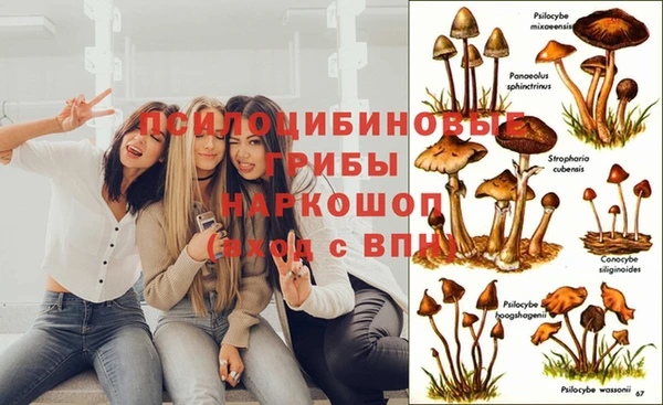 винт Бронницы