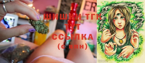 винт Верхний Тагил
