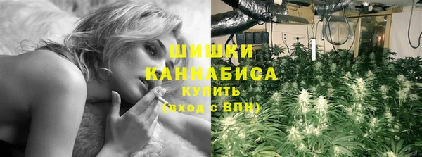 винт Бронницы