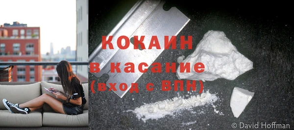 2c-b Бородино