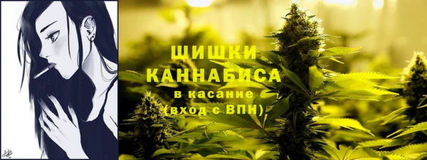 соль ск Верея