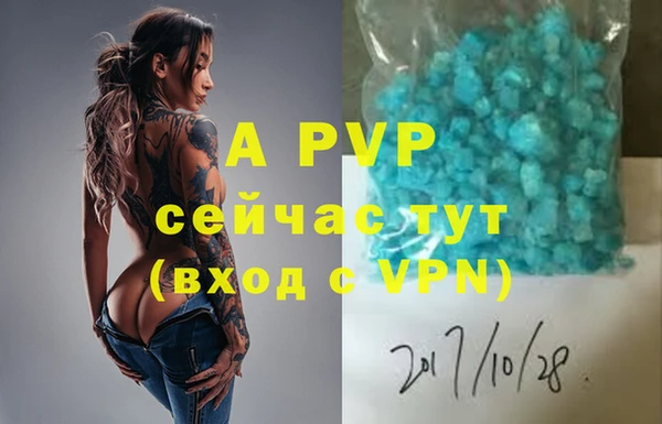 2c-b Бородино