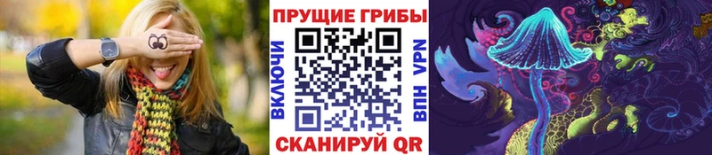 цена   Афипский  Псилоцибиновые грибы мухоморы 